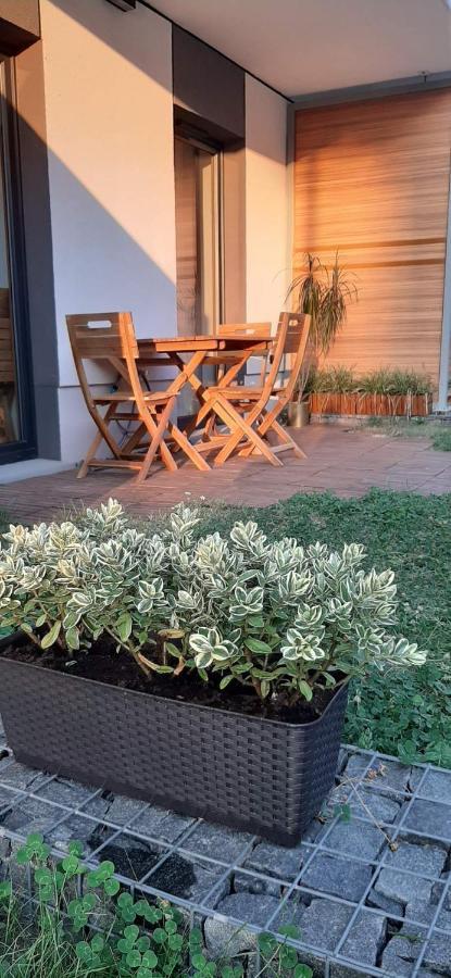 Apartament With Garden Bezplatny Parking !!! Krakov Exteriér fotografie